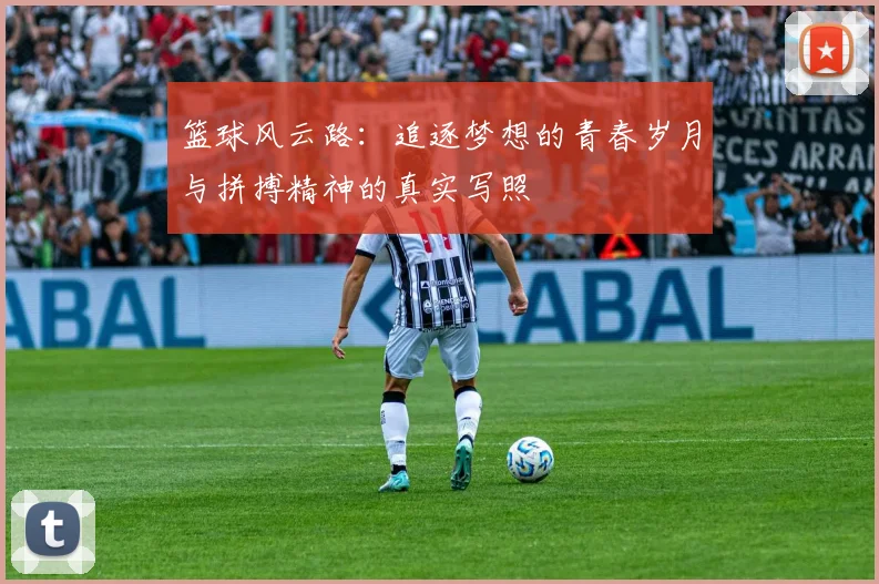 篮球风云路：追逐梦想的青春岁月与拼搏精神的真实写照