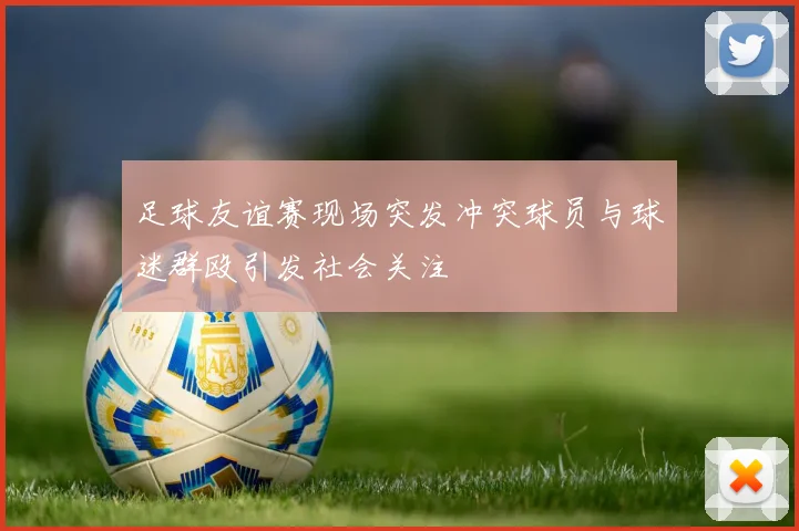足球友谊赛现场突发冲突球员与球迷群殴引发社会关注
