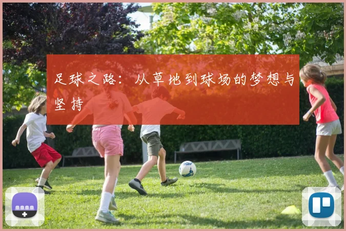 足球之路：从草地到球场的梦想与坚持